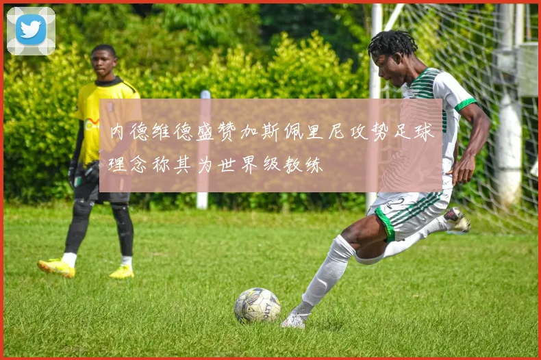 内德维德盛赞加斯佩里尼攻势足球理念称其为世界级教练