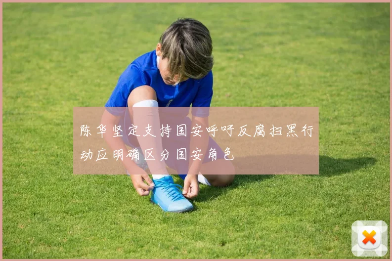 陈华坚定支持国安呼吁反腐扫黑行动应明确区分国安角色